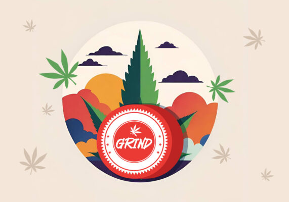 Grinder Guide: Alles über Arten, Anwendung & Pflege deiner Kräutermühle